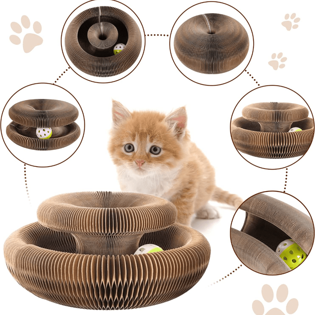 Juguete Interactivo para Gatos - GatoPlay +1 Bolita de Regalo