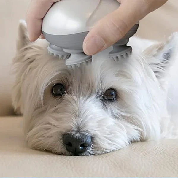 Massageador Elétrico para Pets e Tutores