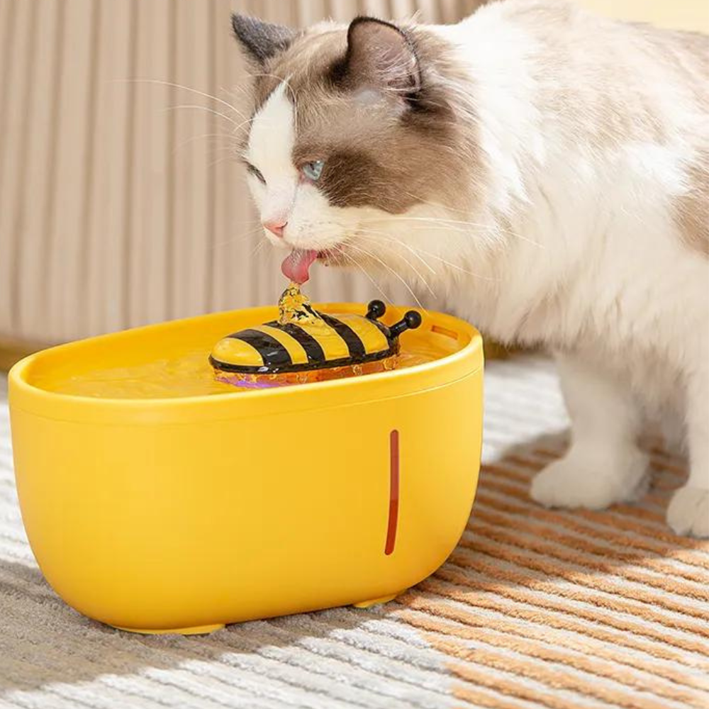 Bebedero Abeja 2L con Filtro para Gatos