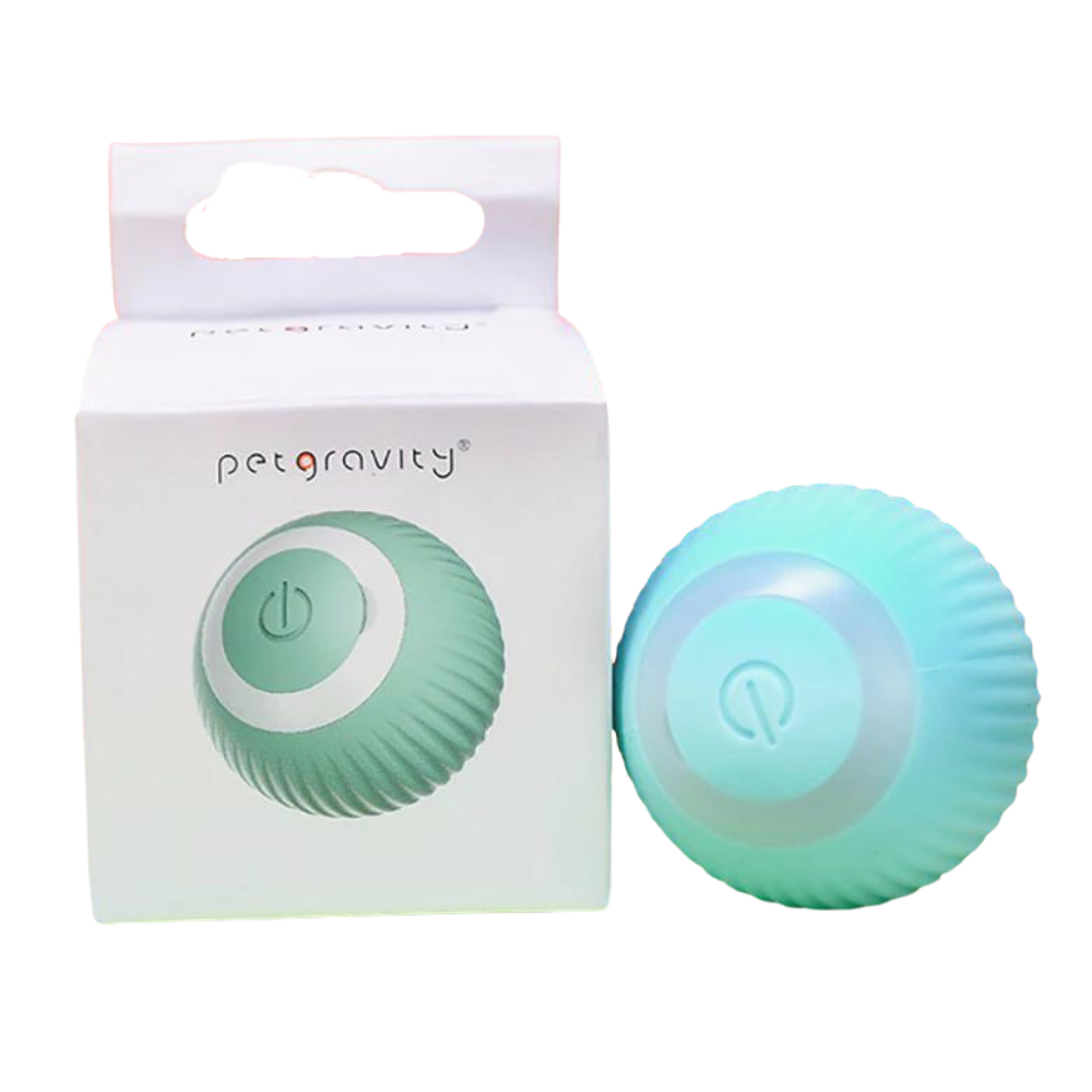 Urban Cat Comfort Kit