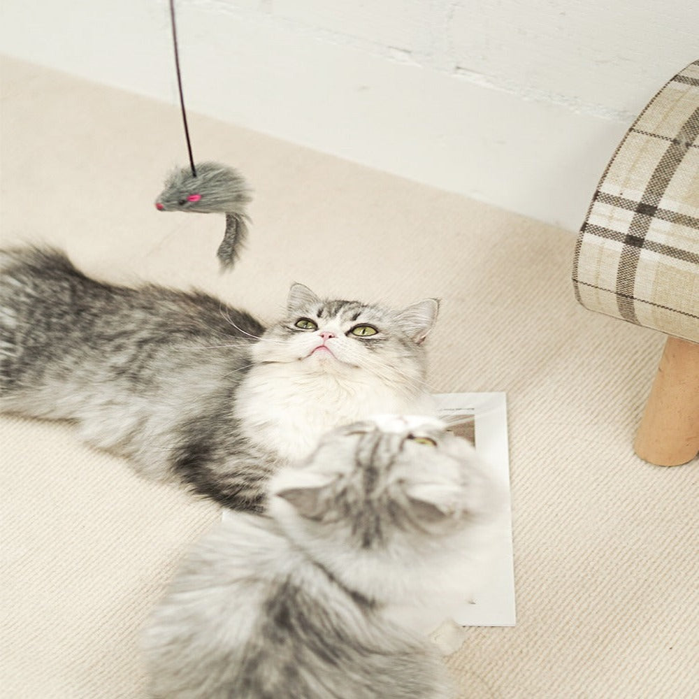 Brinquedo de Porta Interativo voor Gatos