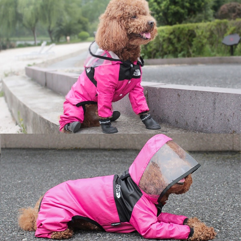 Capa de lluvia para perros
