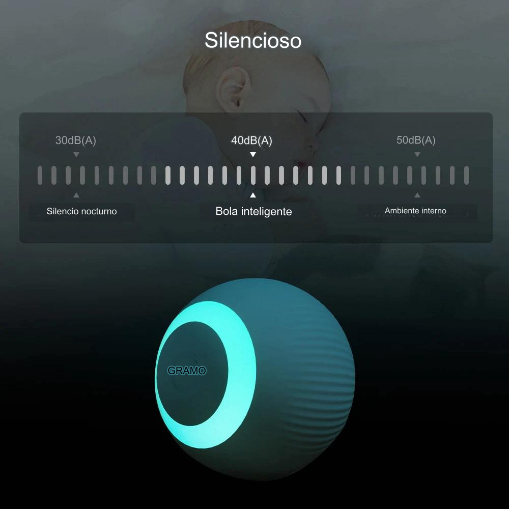 Urban Cat Comfort Kit