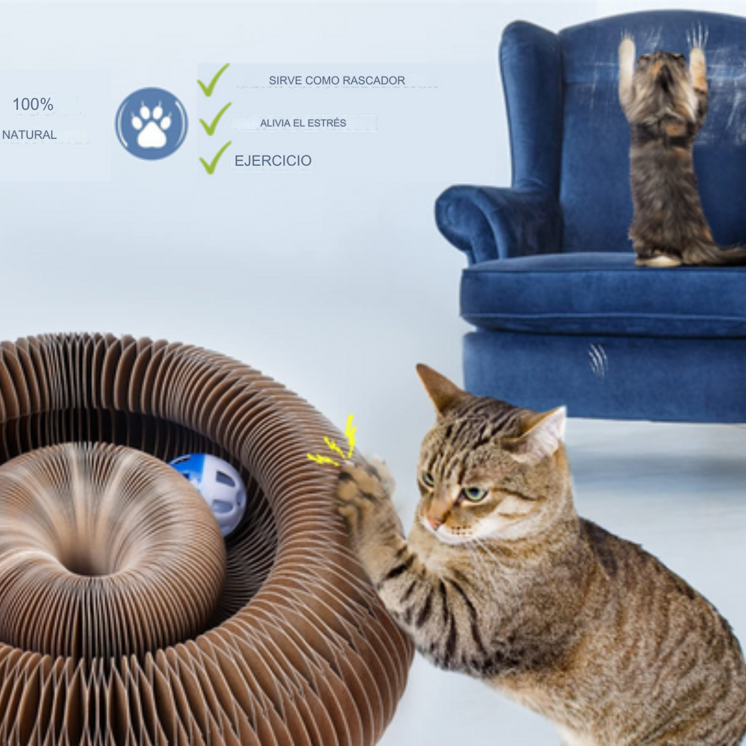 Interaktives Spielzeug für Katzen - GatoPlay +1 Geschenktüte
