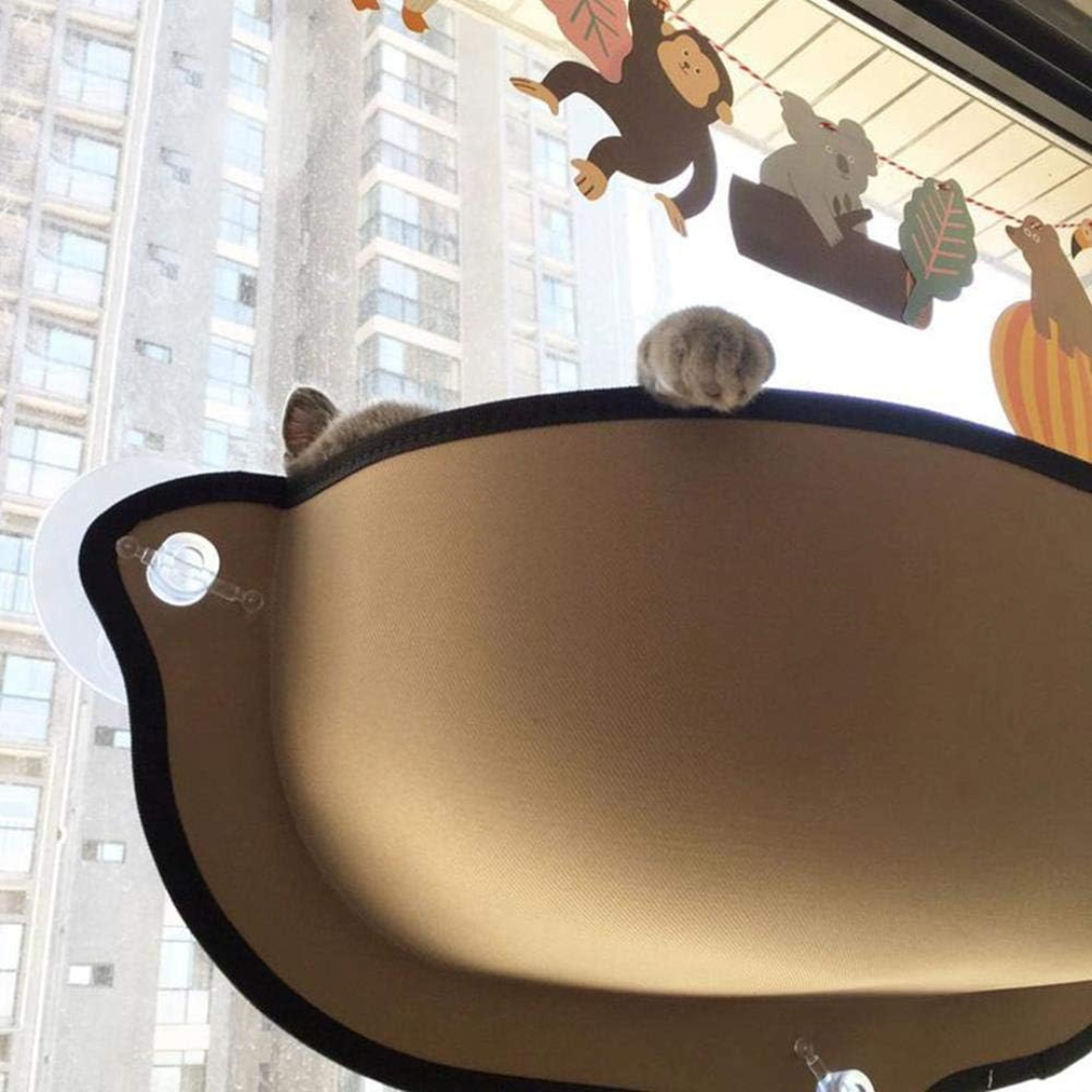 Fensterbett mit Katzenkissen