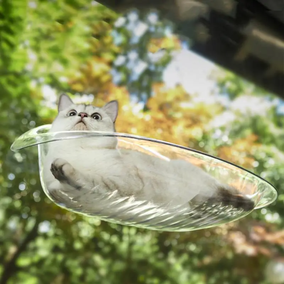 Modernes hängendes Katzenbett