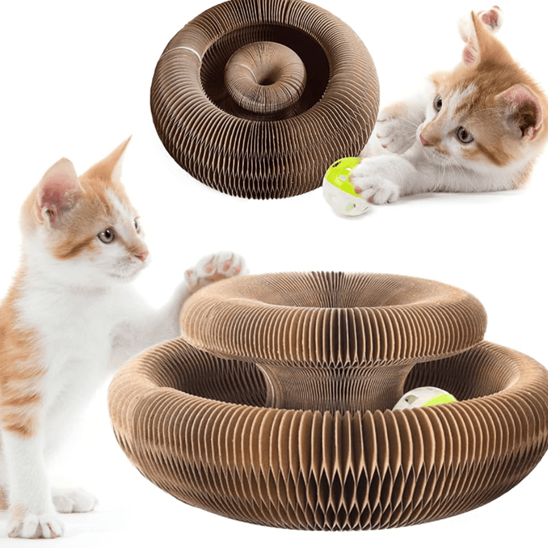 Juguete Interactivo para Gatos - GatoPlay +1 Bolita de Regalo
