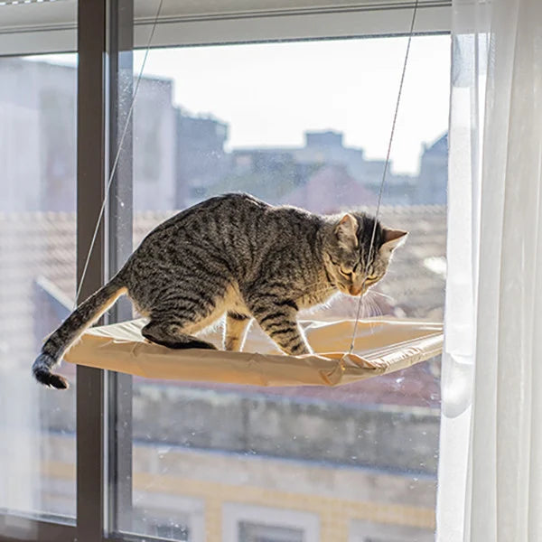 Suspended Window Bed for Cats