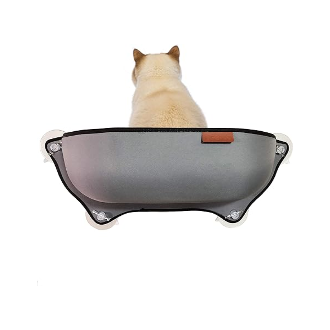 Fensterbett mit Katzenkissen