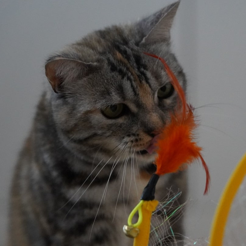 Tunicat - Spiralwurmspielzeug für Katzen