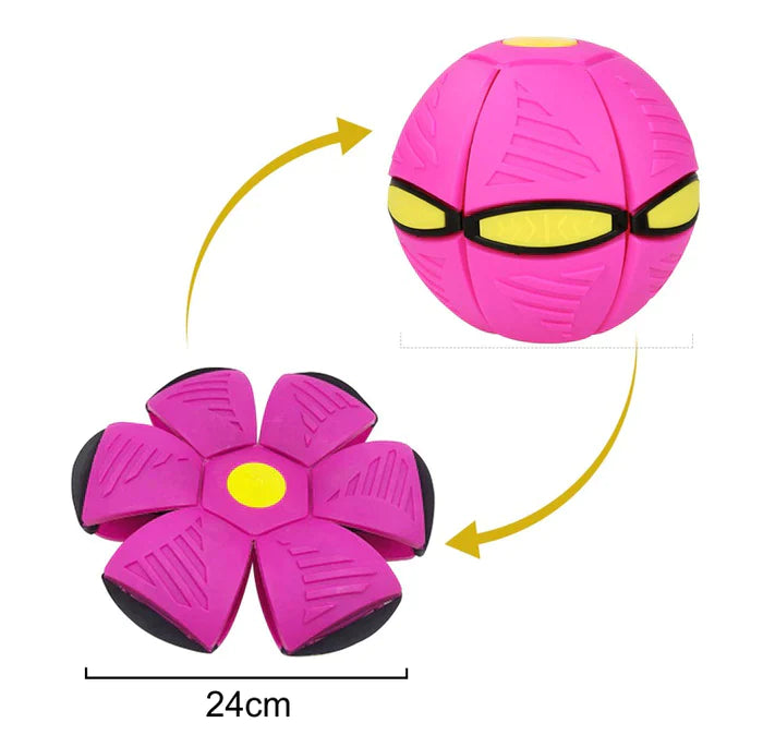 Fliegendes Hundespielzeug mit 2-in-1-Funktion