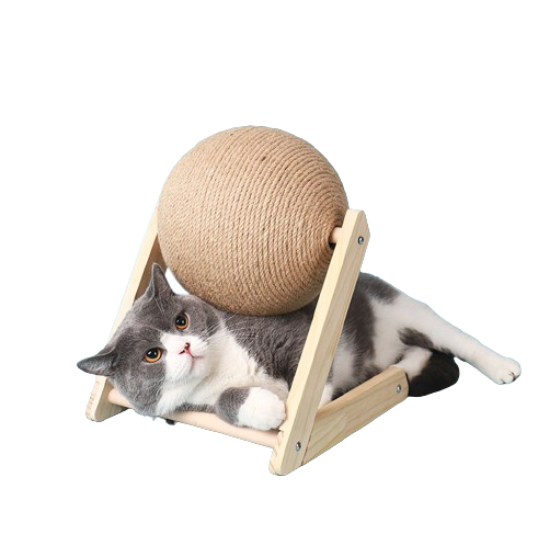 Ball scraper for cats