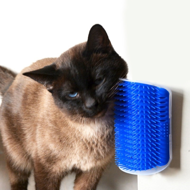 Catnip Massager for Cats