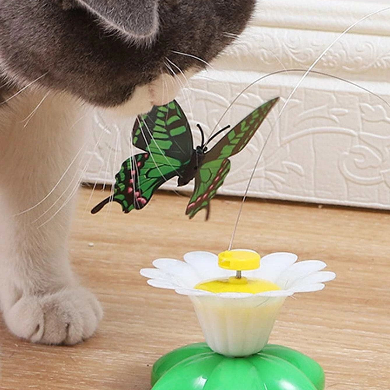 Rotating Electric Butterfly Toy for Cats