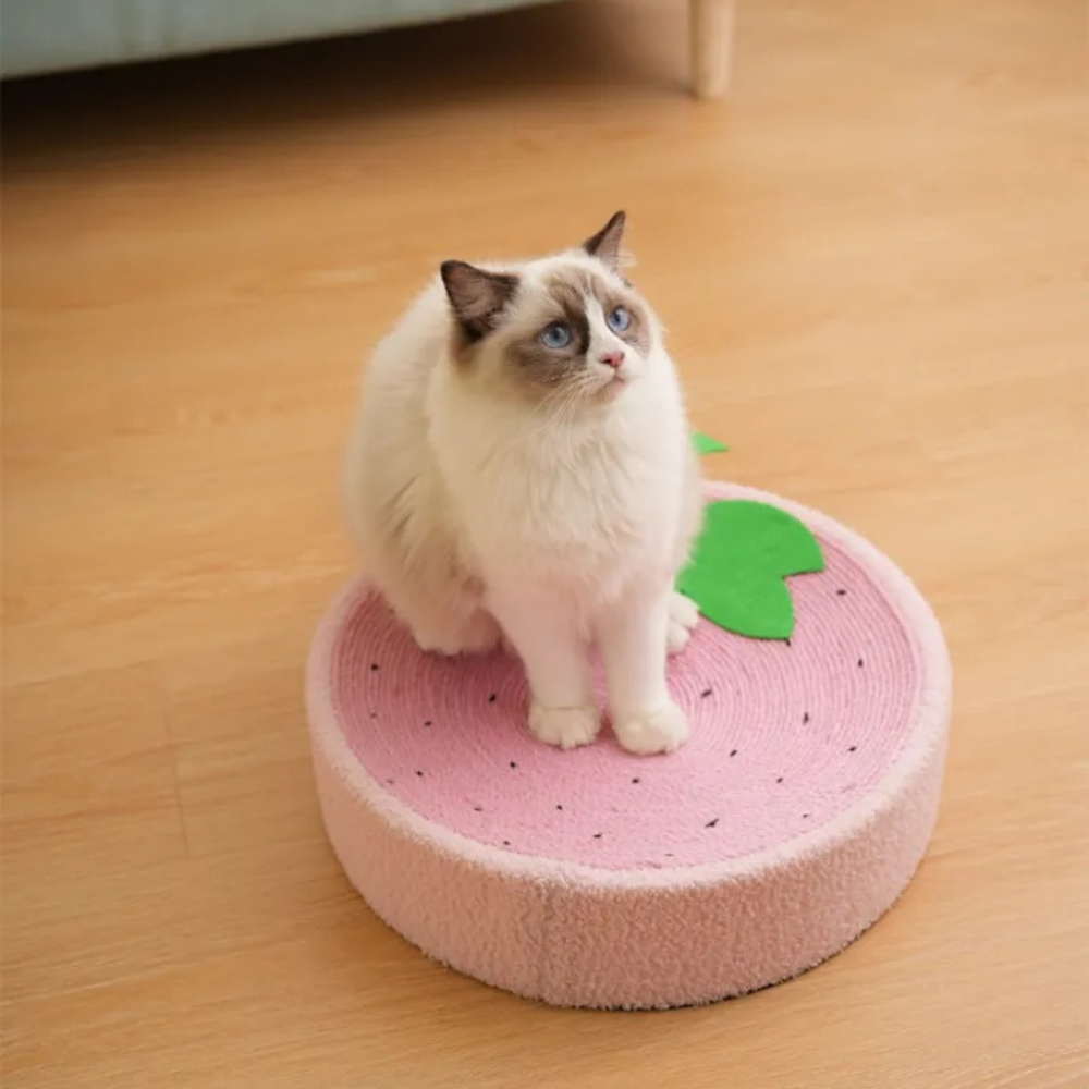 Cat Bed Scraper