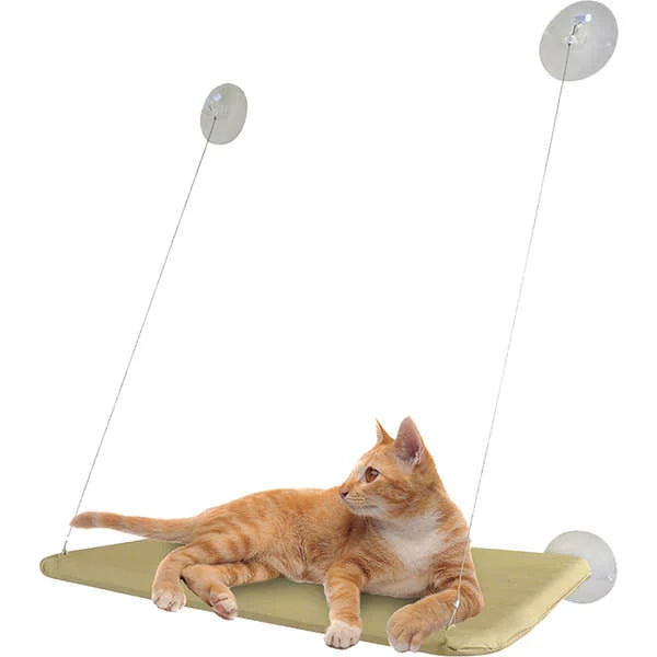 Hangend raambed voor katten