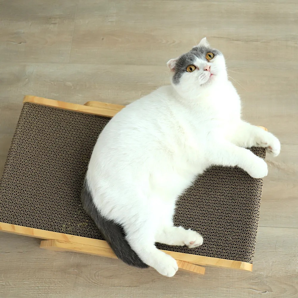 Sustainable Scraper with Cardboard for Cats