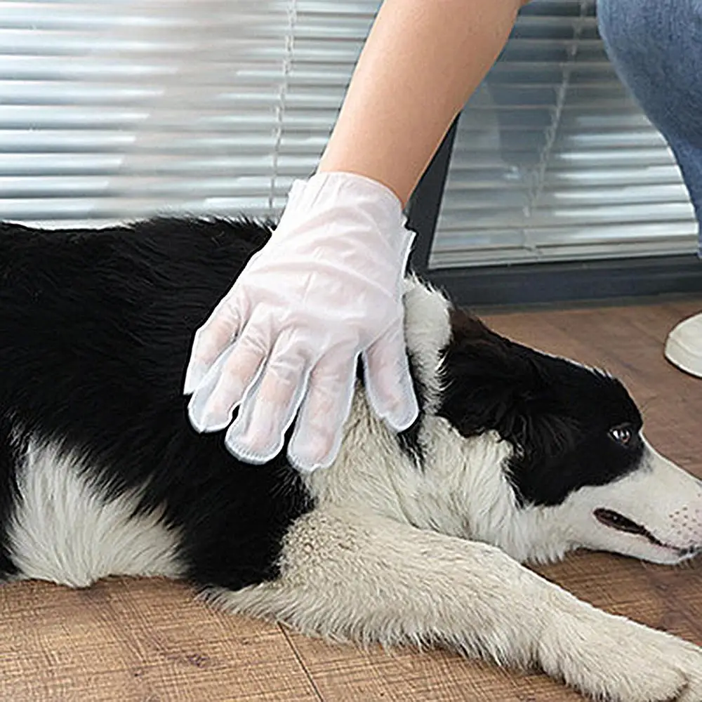 Antibacterial Moistened Pet Glove