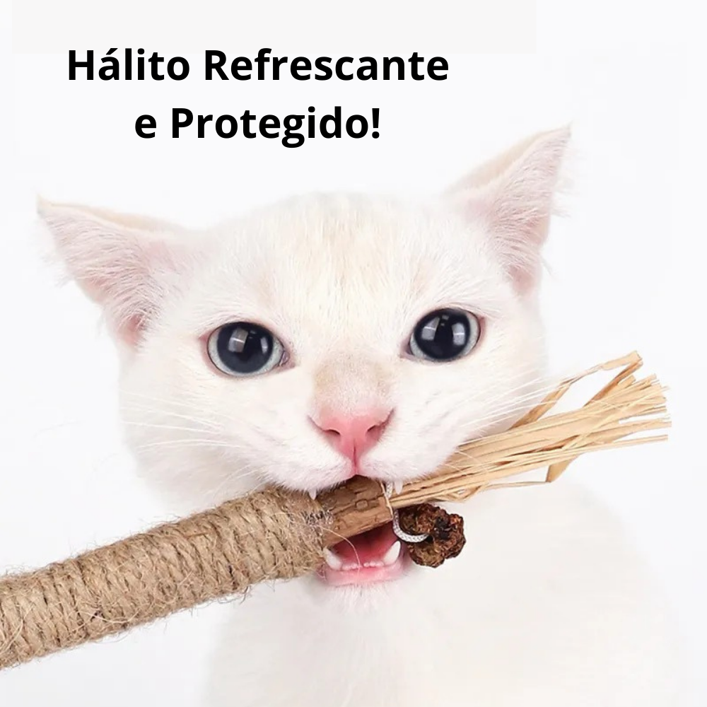 NatuHerb Toy - Feline Oral Health