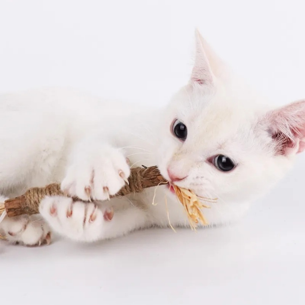 NatuHerb Toy - Feline Oral Health