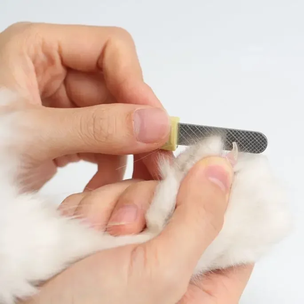 LED Nail Clipper for Cats