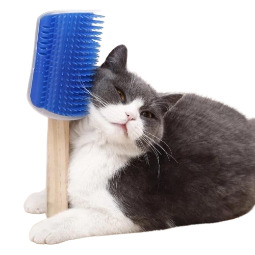 Catnip Massager for Cats