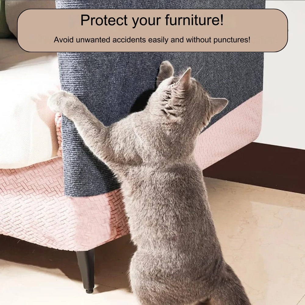 Protective Adhesive Carpet for Cats' Nails