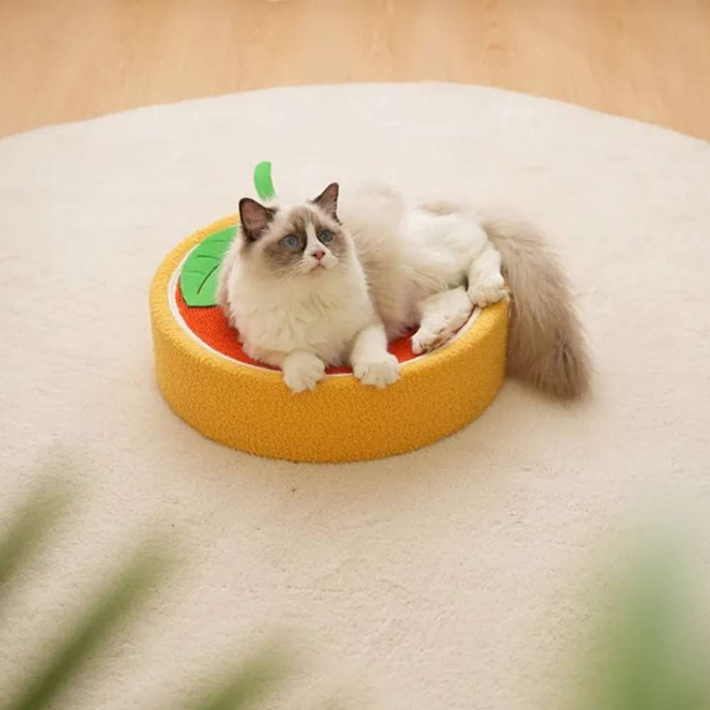 Cat Bed Scraper