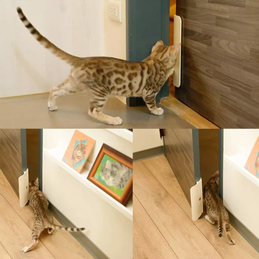 Automatic Door Opener for Pets