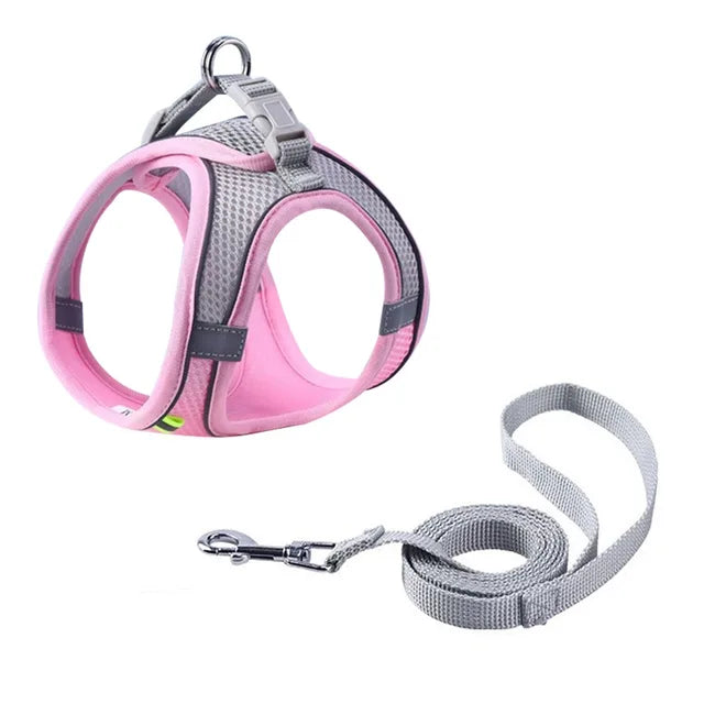 Adjustable Harness with Guide for Pets