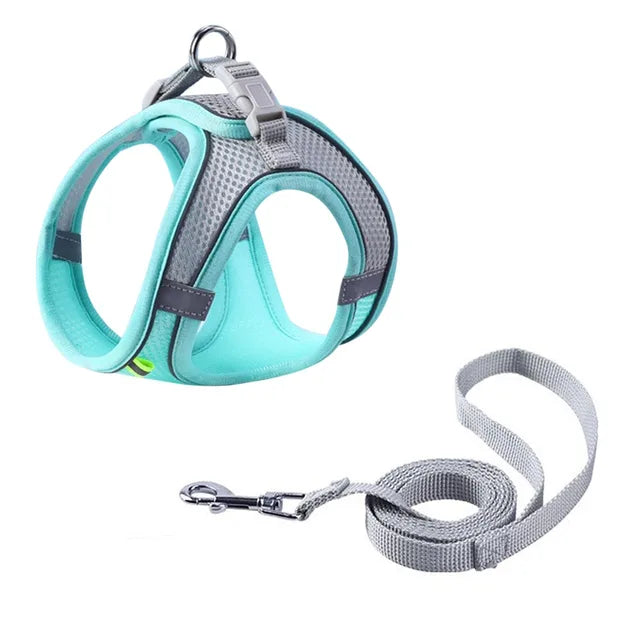 Adjustable Harness with Guide for Pets