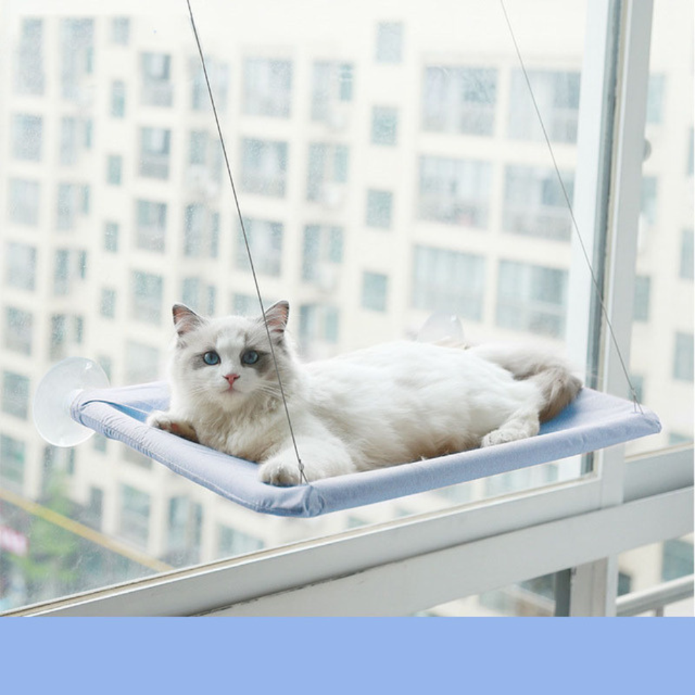 Suspended Ventilated Bed for Cats