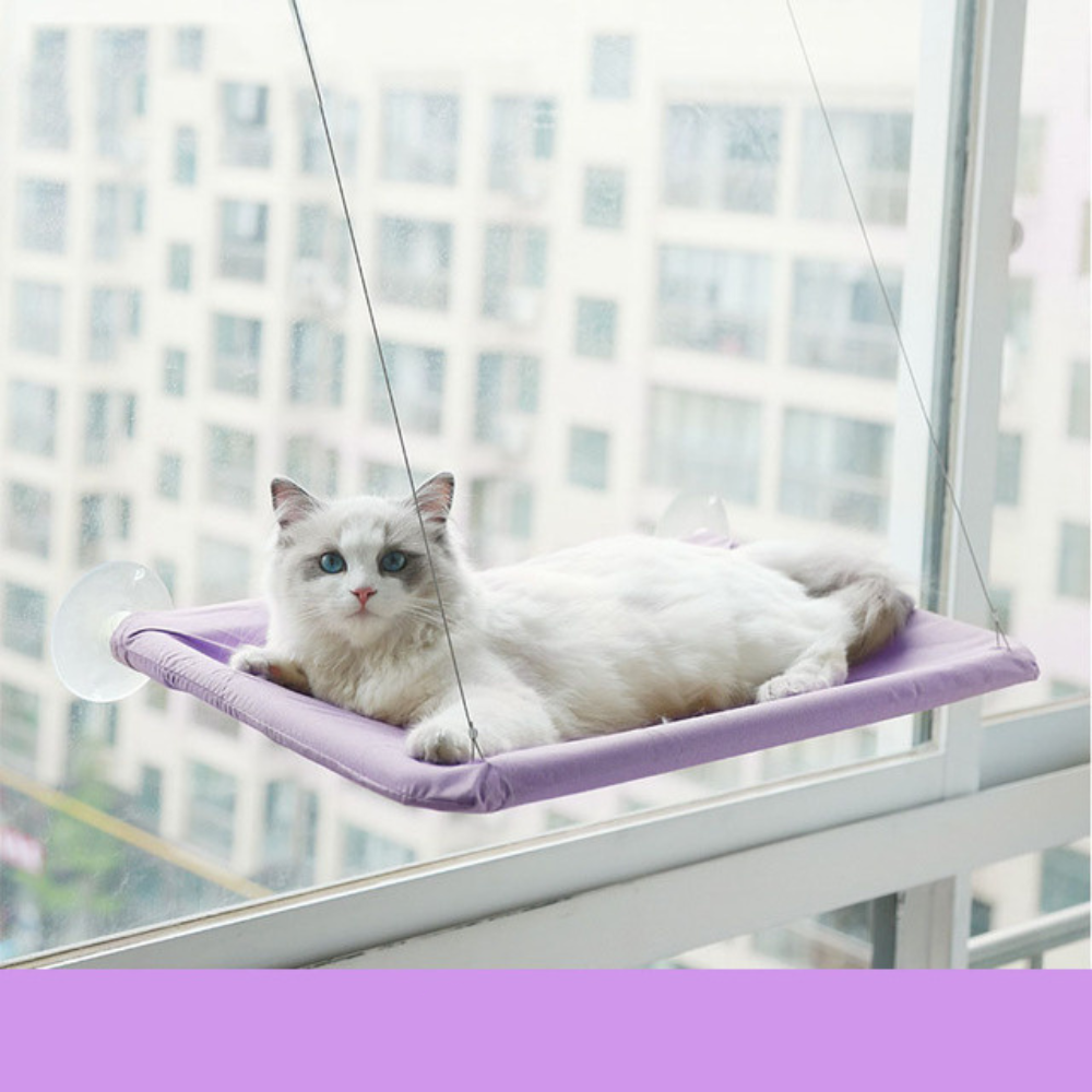 Suspended Ventilated Bed for Cats