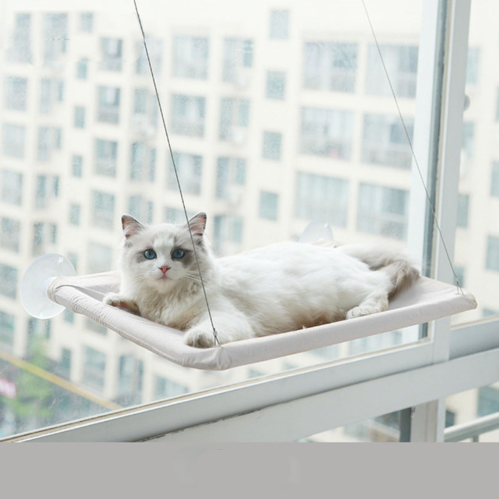 Suspended Ventilated Bed for Cats