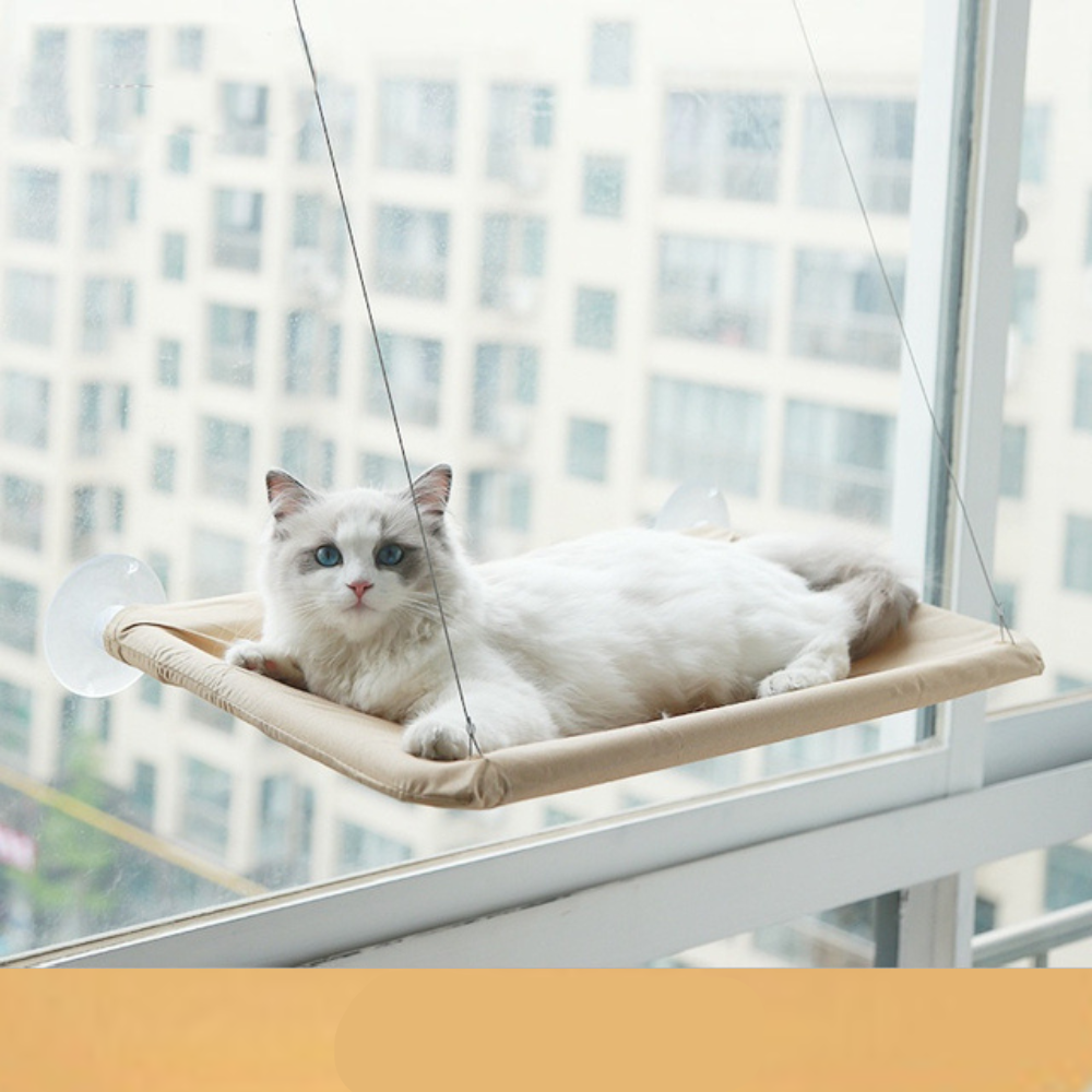 Suspended Ventilated Bed for Cats