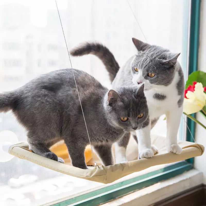 Suspended Ventilated Bed for Cats