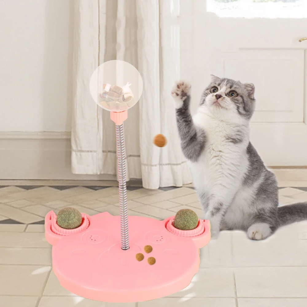 Interactive Spring Feeder for Pets