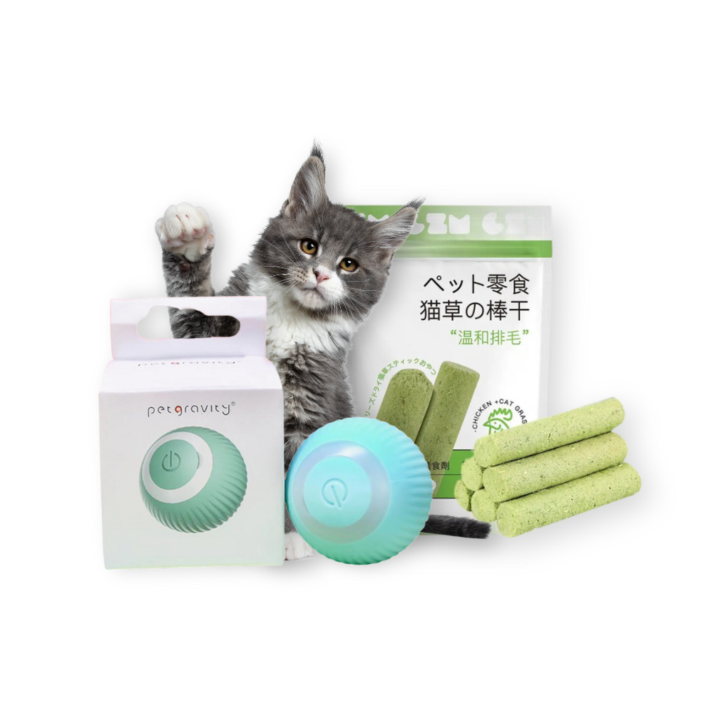 Feline Fun Pack - 1 Smart Ball and 3 Packs of Healthy Chew Sticks