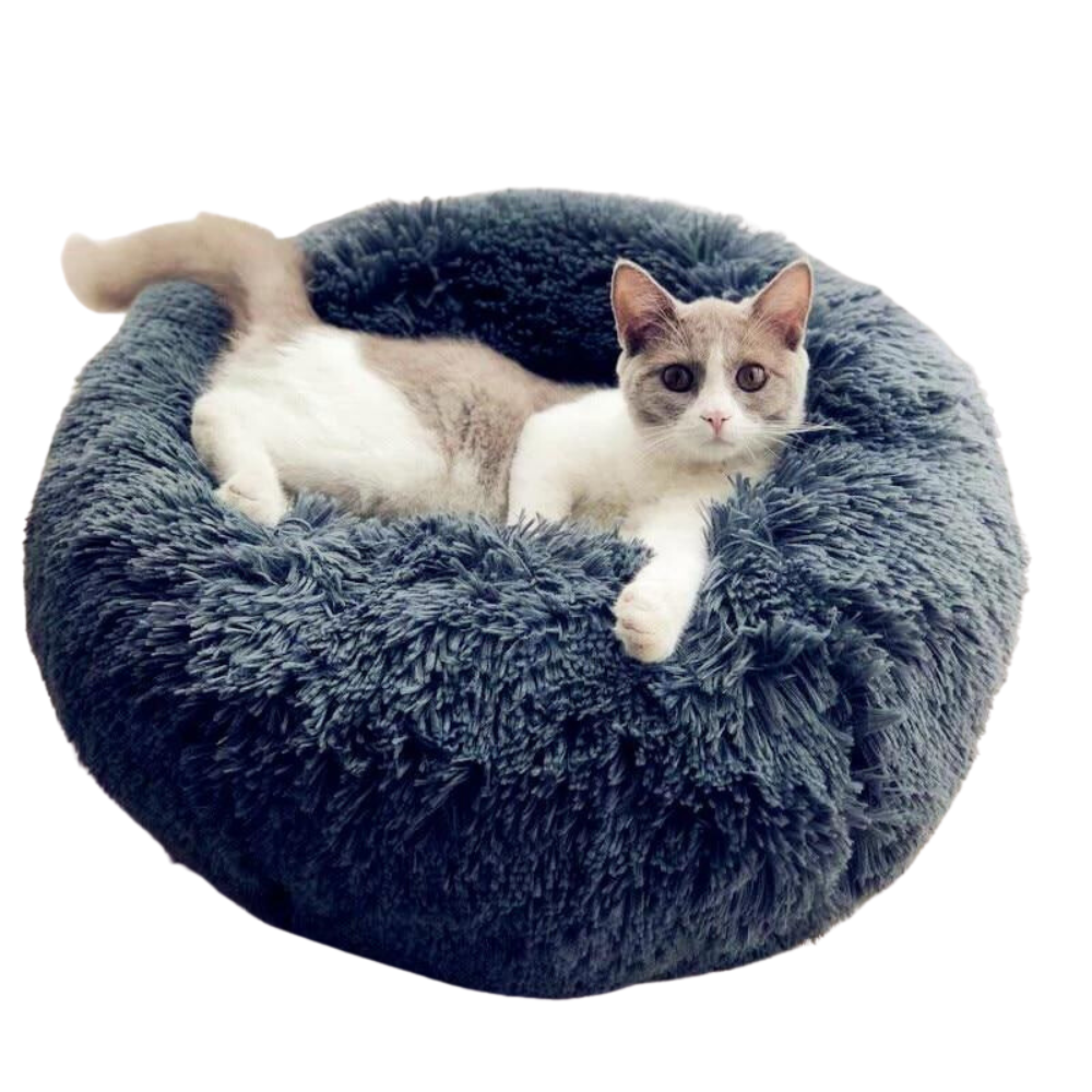 Premium Cloud Bed for Pets