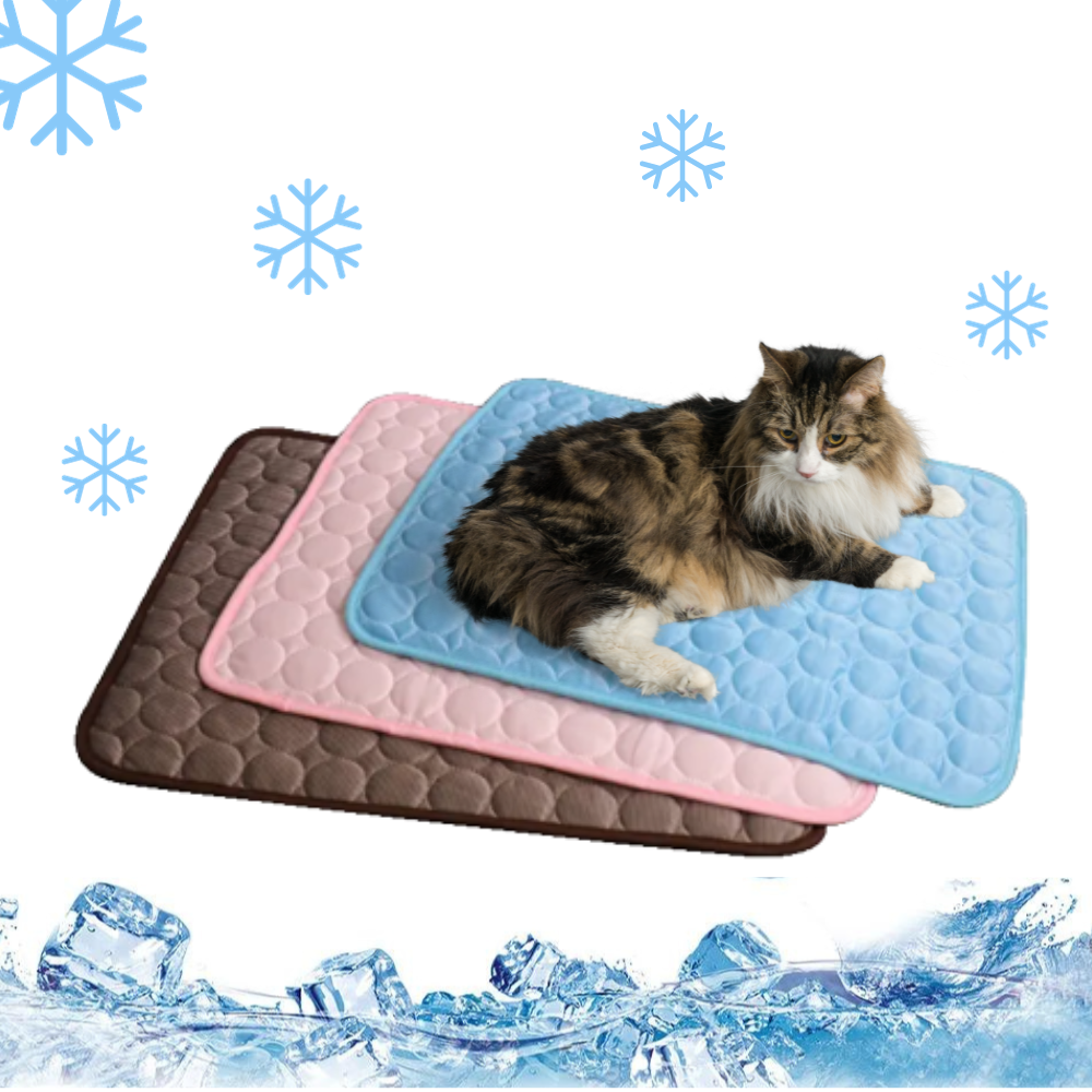 Cold Mat for Pets