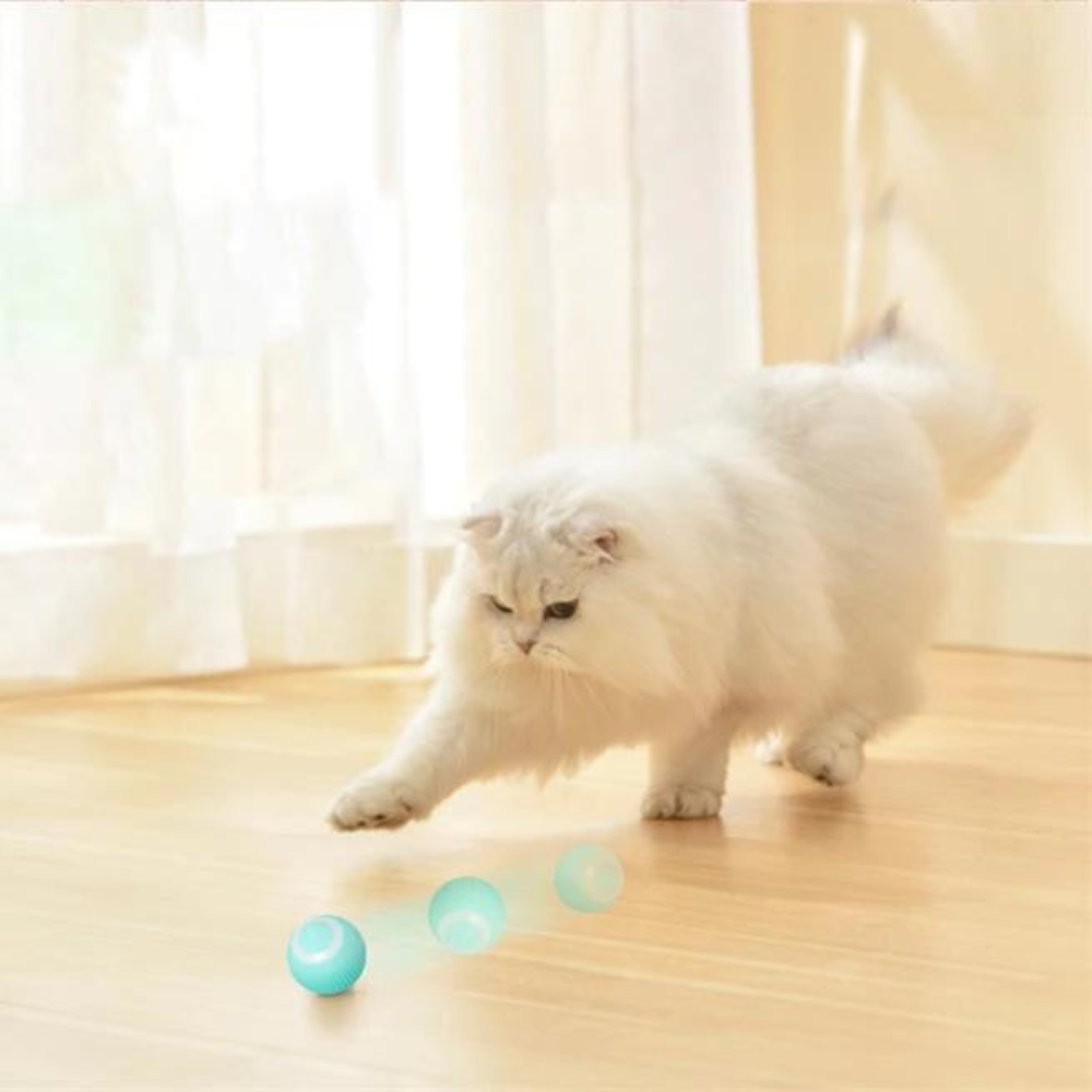 Electric Snake + Bird + Ball Toy Kit for Cats