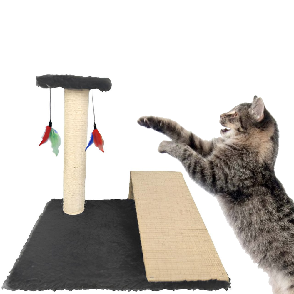 Scraper Post with Ramp for Cats