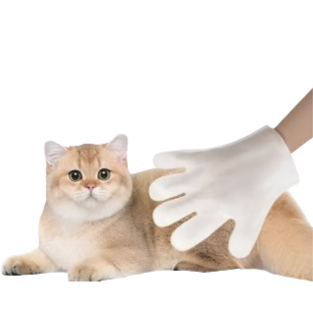 Antibacterial Moistened Pet Glove