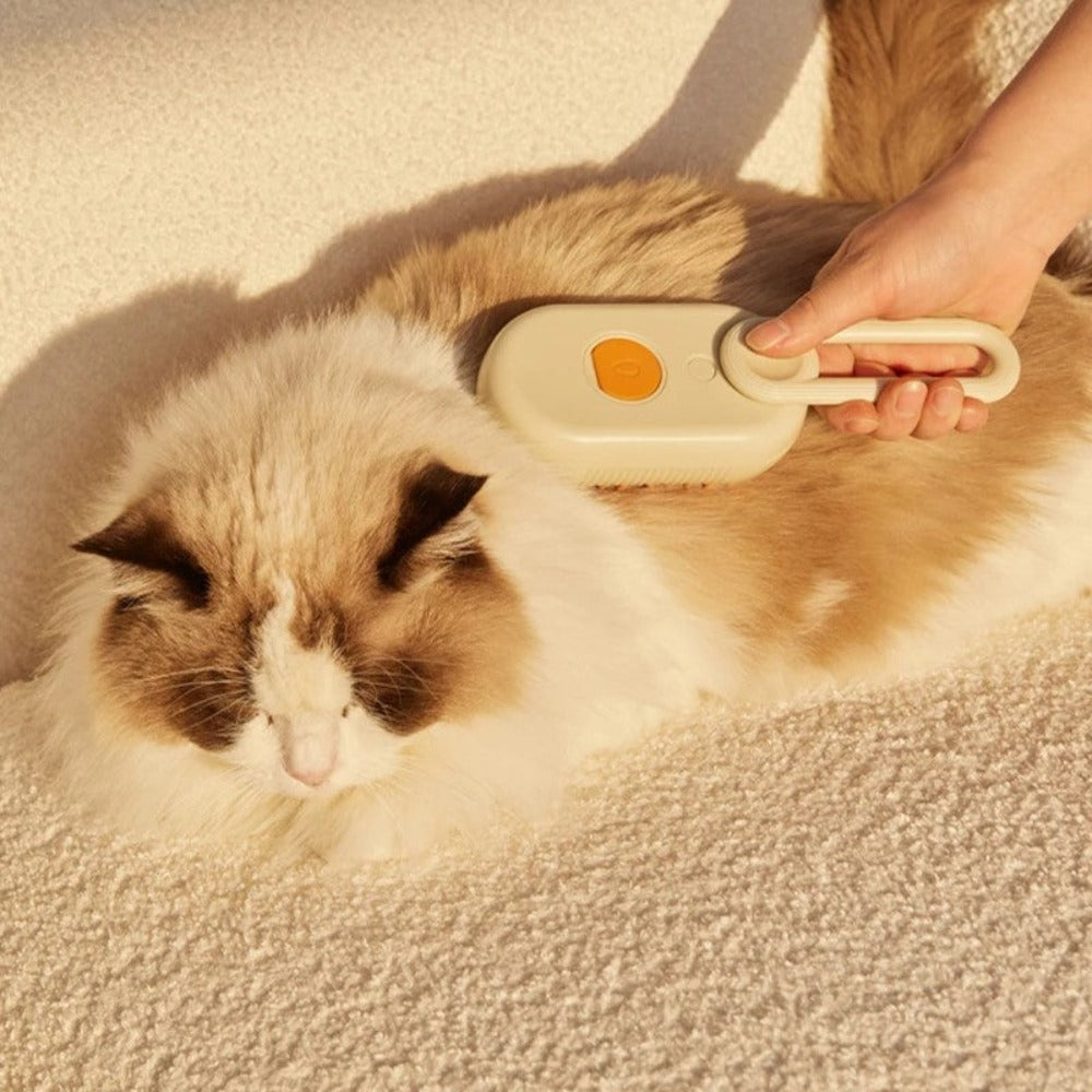 The Purr-fect Pet Care Bundle – Feed, Hydrate & Pamper Your Pet!