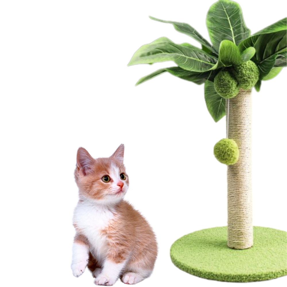 Palmera Scraper for Cats