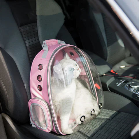 Transport Backpack with Astronaut Visor for Pets