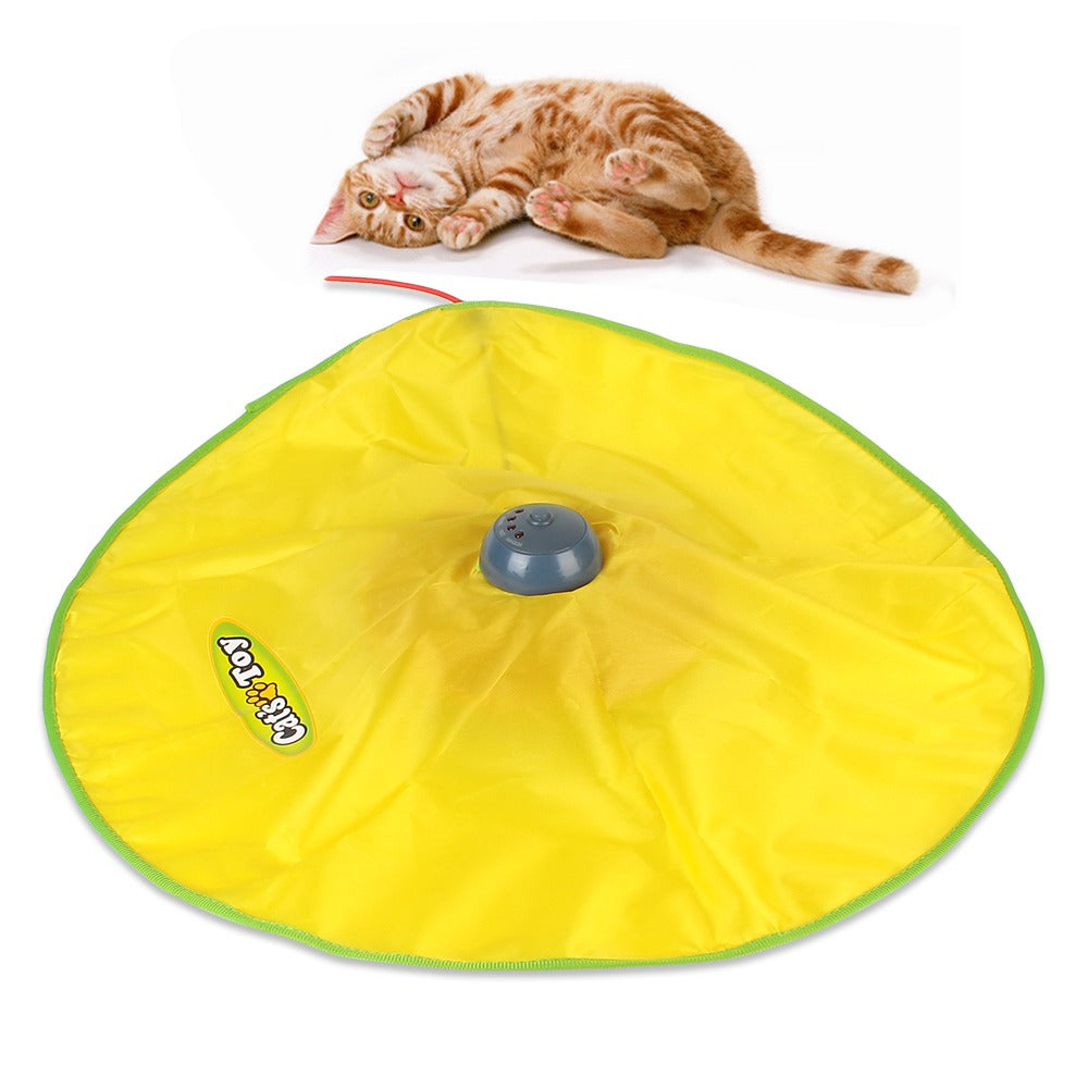 Magic Carpet Toy for Cats