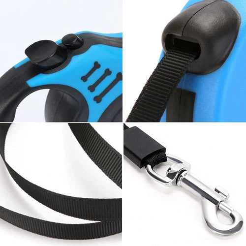 Retractable Leash Guide for Pets