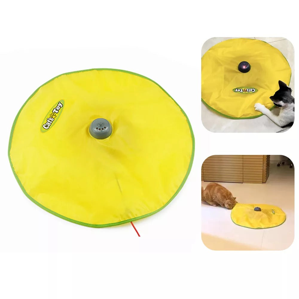 Magic Carpet Toy for Cats