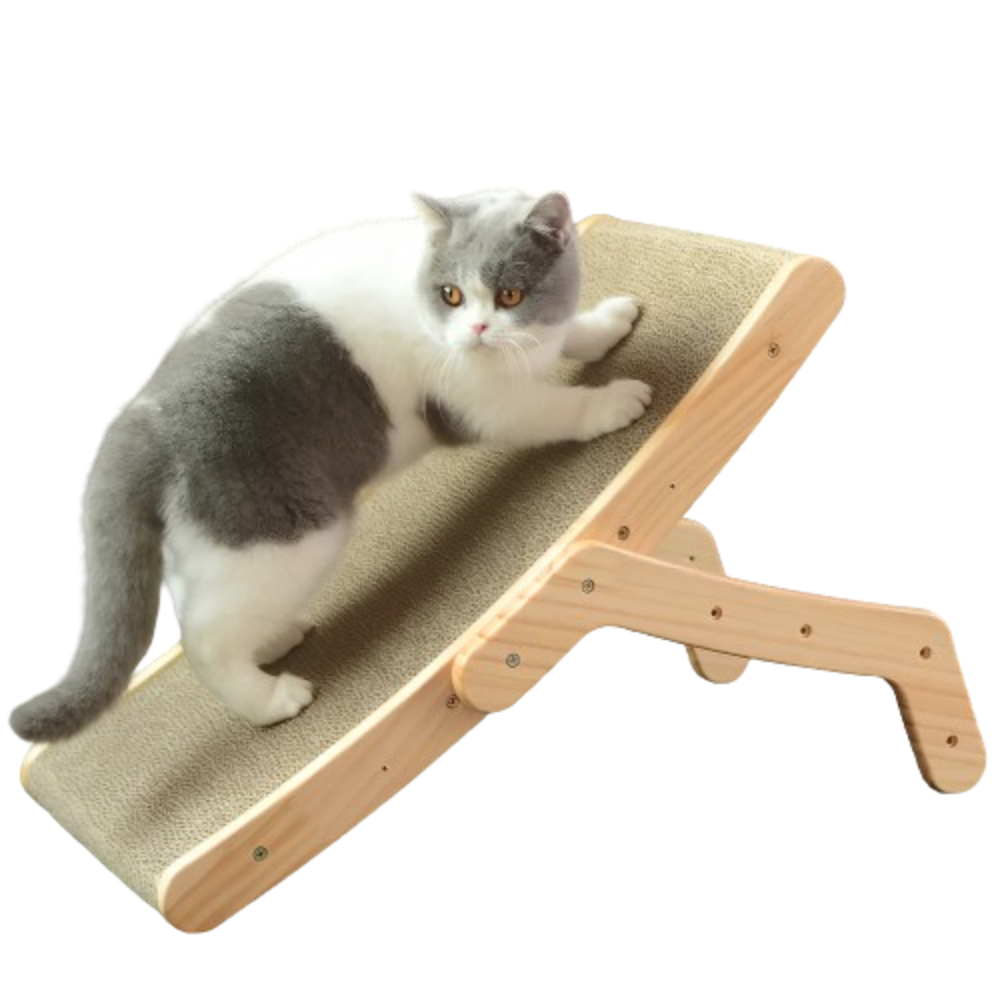 Sustainable Scraper with Cardboard for Cats